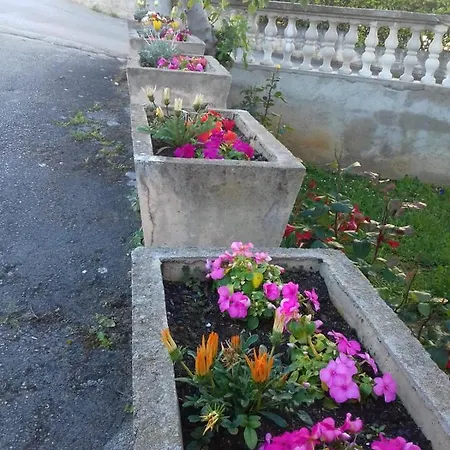Obiteljska Kuca Grgic Apartment