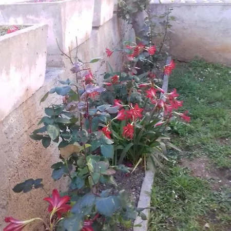 Obiteljska Kuca Grgic Apartment *